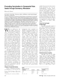 Promoting Germination in Ornamental Palm Seeds Through Dormancy