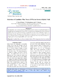 Selection of Candidate Plus Trees (Cpts) in Grewia Tiliifolia Vahl