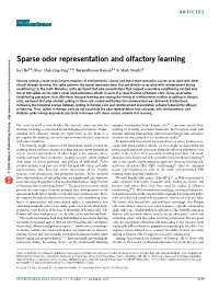 Sparse Odor Representation and Olfactory Learning