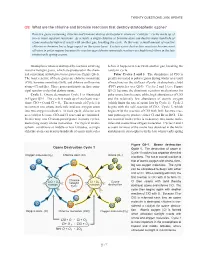 What Are the Chlorine and Bromine Reactions That Destroy Stratospheric Ozone?