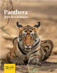 2020 Annual Report