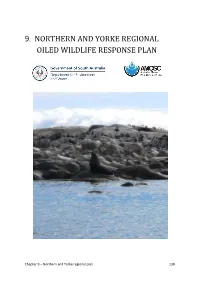 Chapter 9: Northern and Yorke Regional Oiled Wildlife Response