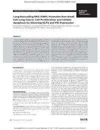 Long Noncoding RNA ANRIL Promotes Non–Small Cell Lung