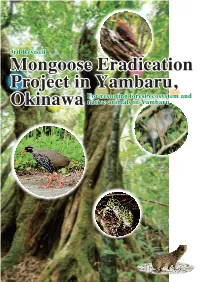 For Restoring Forest Ecosystem and Native Animals in Yambaru For