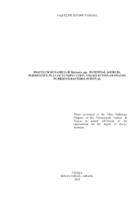INOCULUM DYNAMICS of Ralstonia Spp.: POTENTIAL SOURCES, PERSISTENCE in a LOCAL POPULATION and SELECTION of PHAGES to REDUCE BACTERIA SURVIVAL