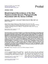 Morphological Discordance of the New Trypanosomatid Species Phylogenetically Associated with the Genus Crithidia