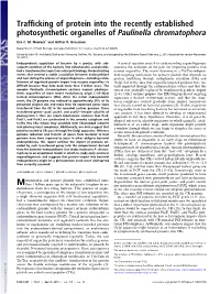 Trafficking of Protein Into the Recently Established Photosynthetic