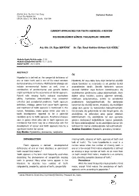 Current Approaches for Tooth Agenesis: a Review