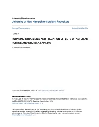 Foraging Strategies and Predation Effects of Asterias Rubens and Nucella Lapillus