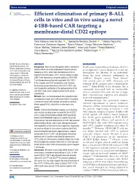 Efficient Elimination of Primary B-ALL Cells in Vitro and in Vivo Using A