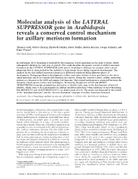 Molecular Analysis of the LATERAL SUPPRESSOR Gene in Arabidopsis Reveals a Conserved Control Mechanism for Axillary Meristem Formation