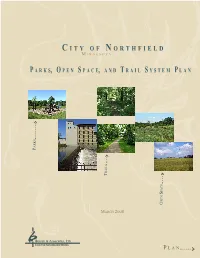 Parks, Open Space, and Trail System Plan for the City