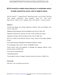 BCL6 Evolved to Enable Stress Tolerance in Vertebrates and Is Broadly Required by Cancer Cells to Adapt to Stress