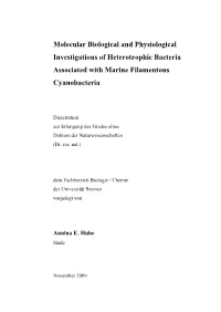 Molecular Biological and Physiological Investigations of Heterotrophic Bacteria Associated with Marine Filamentous Cyanobacteria