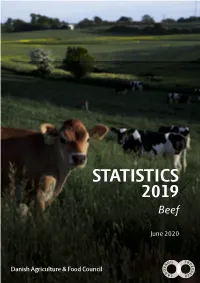 STATISTICS 2019 Beef