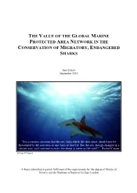 The Value of the Global Marine Protected Area Network in the Conservation of Migratory, Endangered Sharks