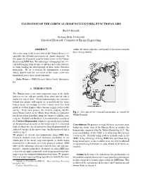 Validation of the Cortical Homunculus Using Functional Mri