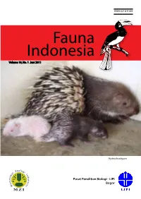 2 Desember 2006