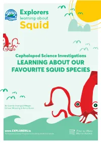 Learning About Our Favourite Squid Species