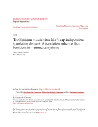 The Panicum Mosaic Virus-Like 3' Cap-Independent Translation Element