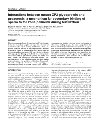 Binding of Mouse ZP2 to Sperm Proacrosin 4129 from the Speciﬁc Activity of Labelling and Avogadro’S Constant (Bleil Et Al., 1988)