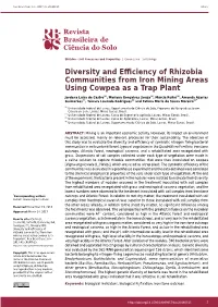 Diversity and Efficiency of Rhizobia Communities from Iron Mining