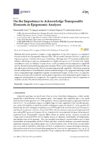 On the Importance to Acknowledge Transposable Elements in Epigenomic Analyses