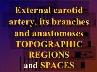 TOPOGRAPHIC REGIONS and SPACES