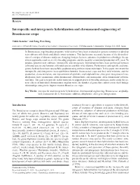 Interspecific and Intergeneric Hybridization and Chromosomal Engineering of Brassicaceae Crops