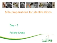 Mite Preparations for Identifications