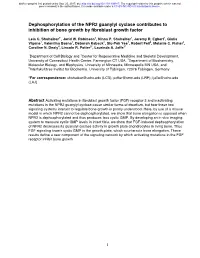 Dephosphorylation of the NPR2 Guanylyl Cyclase Contributes to Inhibition of Bone Growth by Fibroblast Growth Factor