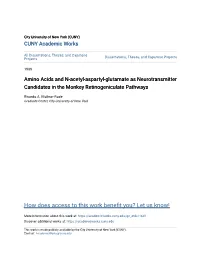 Amino Acids and N-Acetyl-Aspartyl-Glutamate As Neurotransmitter Candidates in the Monkey Retinogeniculate Pathways