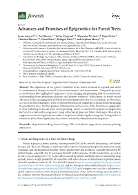 Advances and Promises of Epigenetics for Forest Trees