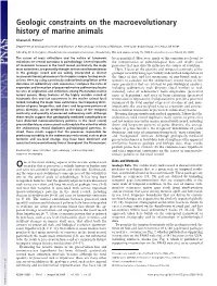 Geologic Constraints on the Macroevolutionary History of Marine Animals