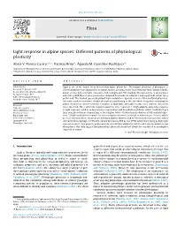 Light Response in Alpine Species: Different Patterns of Physiological Plasticity