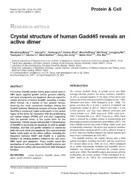 Crystal Structure of Human Gadd45 Reveals an Active Dimer