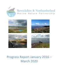 Progress Report January 2016 – March 2020 1