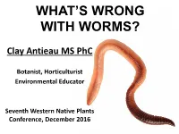 What's Wrong with Worms?