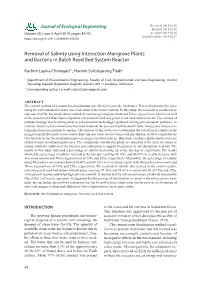 Removal of Salinity Using Interaction Mangrove Plants and Bacteria in Batch Reed Bed System Reactor