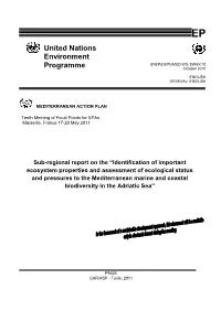 Sub-Regional Report On