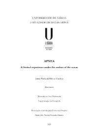 A Liminal Experience Under the Surface of the Ocean