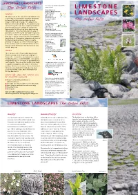 Asby Leaflet