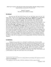 Revisiting the Insular Celtic Hypothesis Through Working Towards an Original Phonetic Reconstruction of Insular Celtic
