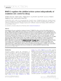 BMP15 Regulates the Inhibin/Activin System Independently of Ovulation Rate Control in Sheep