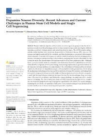 Dopamine Neuron Diversity: Recent Advances and Current Challenges in Human Stem Cell Models and Single Cell Sequencing