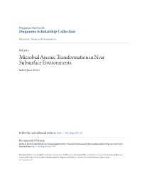 Microbial Arsenic Transformation in Near Subsurface Environments Robert James Reiter