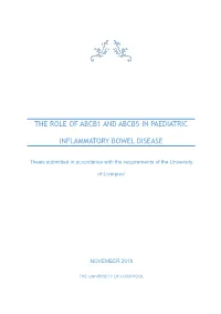 The Role of Abcb1 and Abcb5 in Paediatric Inflammatory