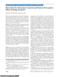 Binocular Eye Movement Control and Motion Perception: What Is Being Tracked?