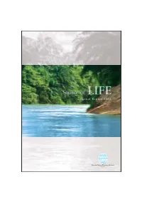 Annual Report 2002 Cover Concept "Source of LIFE"