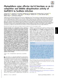 Phytophthora Sojae Effector Avr1d Functions As an E2 Competitor and Inhibits Ubiquitination Activity of Gmpub13 to Facilitate Infection